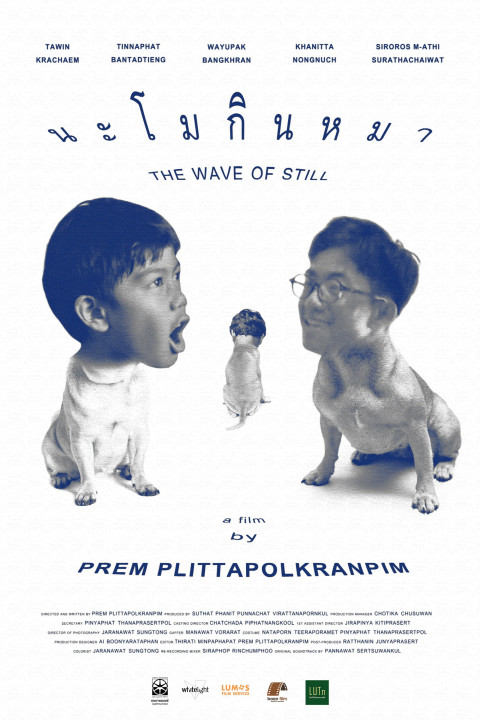 The Wave of Still (2026)