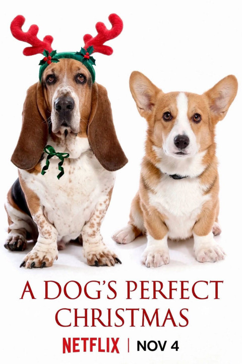 A Dog’s Perfect Christmas (2026)