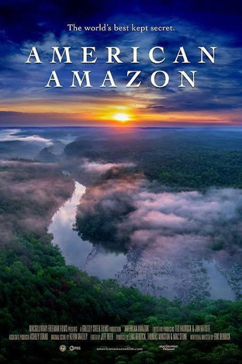 American Amazon (2026)