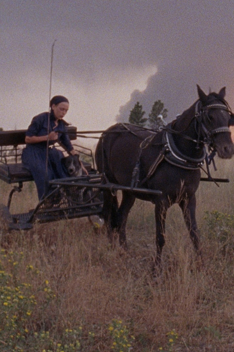 Ashland (2026)