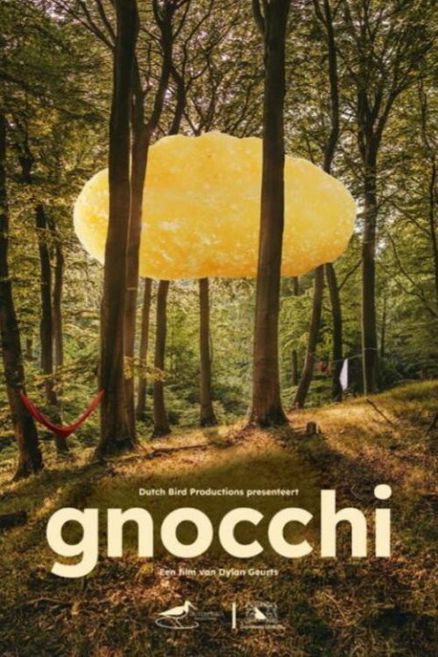 Gnocchi (2026)