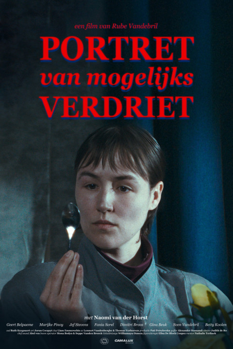 Portret van mogelijks verdriet (2026)