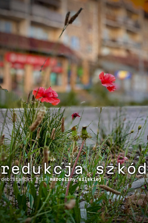 Redukcja szkód