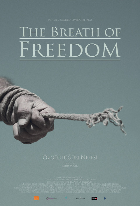 Özgürlüğün Nefesi (2026)