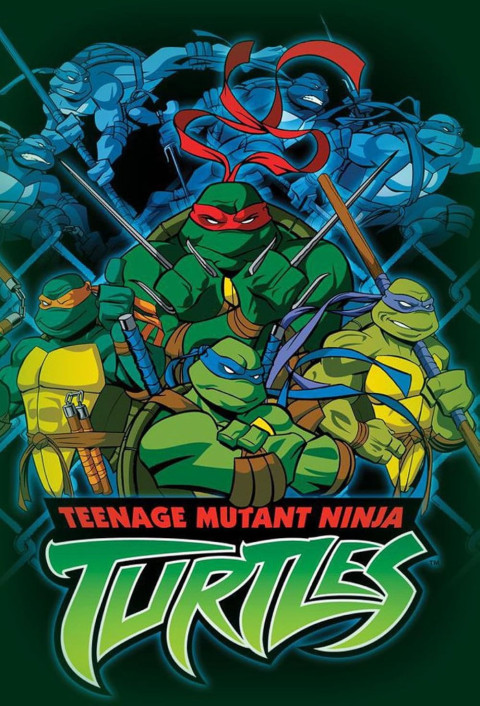 Untitled Teenage Mutant Ninja Turtles Film (2028)